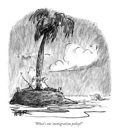 Benefits of Hiring an Immigration Adviser