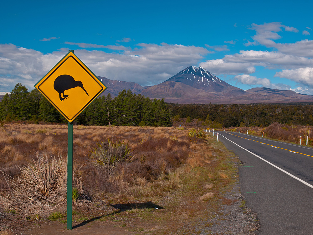 Kiwi crossing road sign with mountain in the background